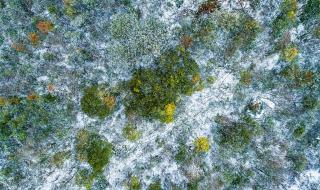 贵阳下雪了?系消防演练